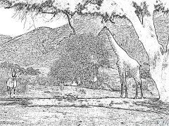 Oryx Pàgines Per Pintar Imprimibles